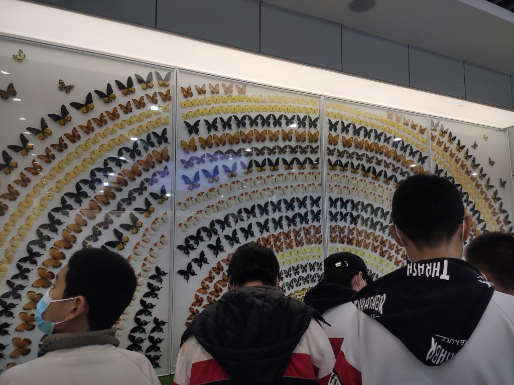 402cc永利官网