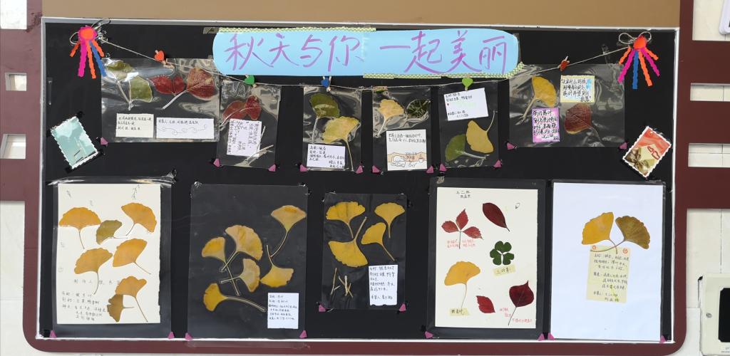 402cc永利官网