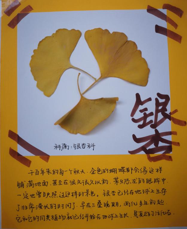 402cc永利官网