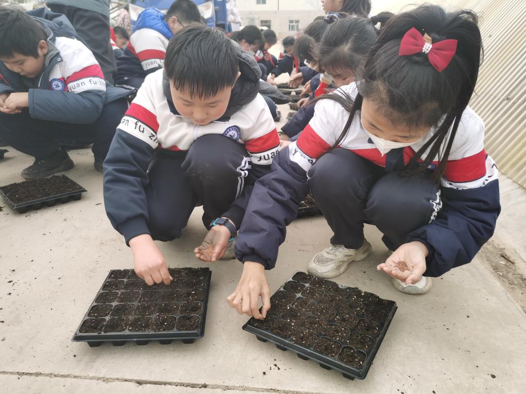 402cc永利官网