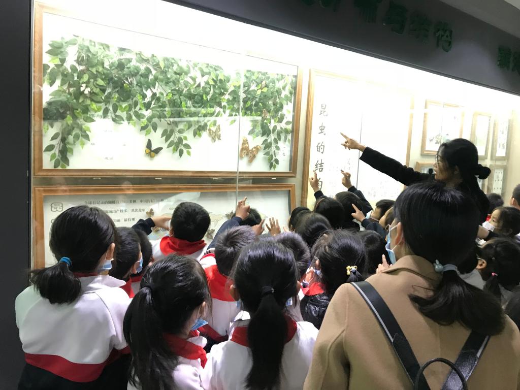 402cc永利官网