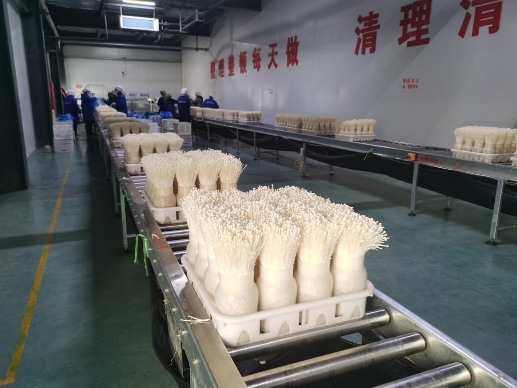 402cc永利官网