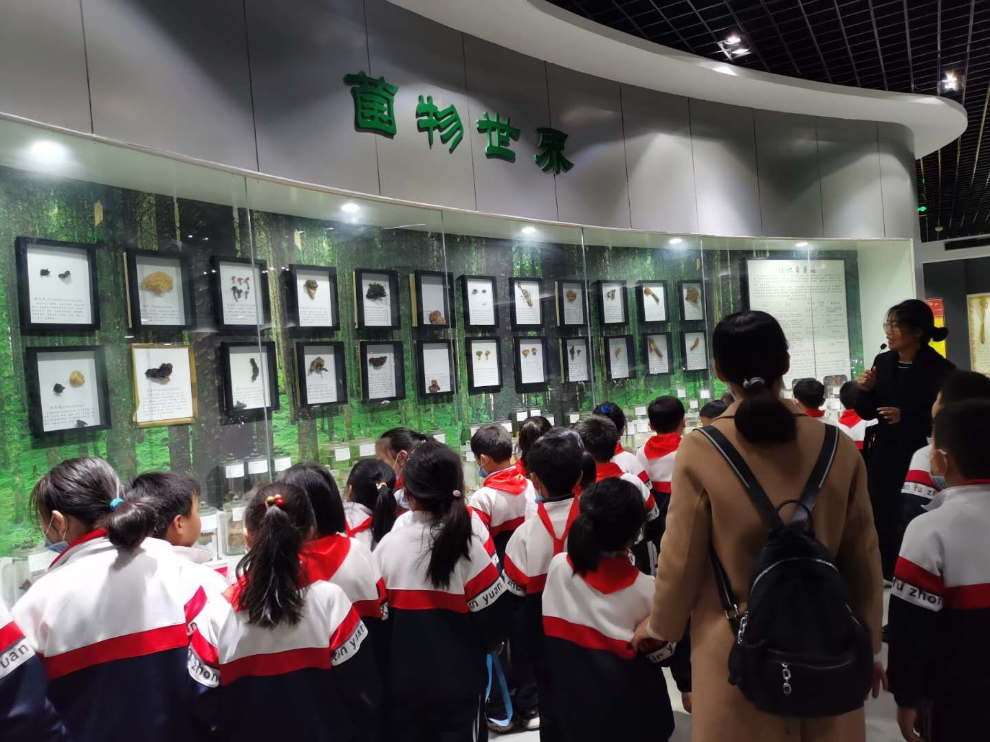 402cc永利官网