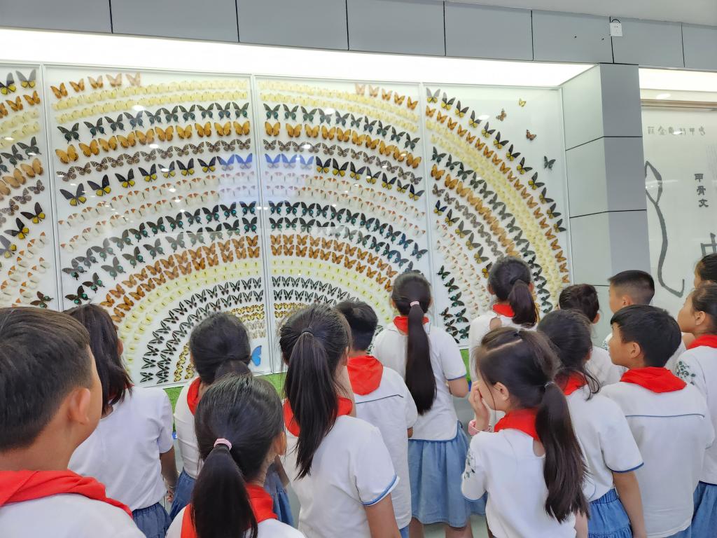 402cc永利官网