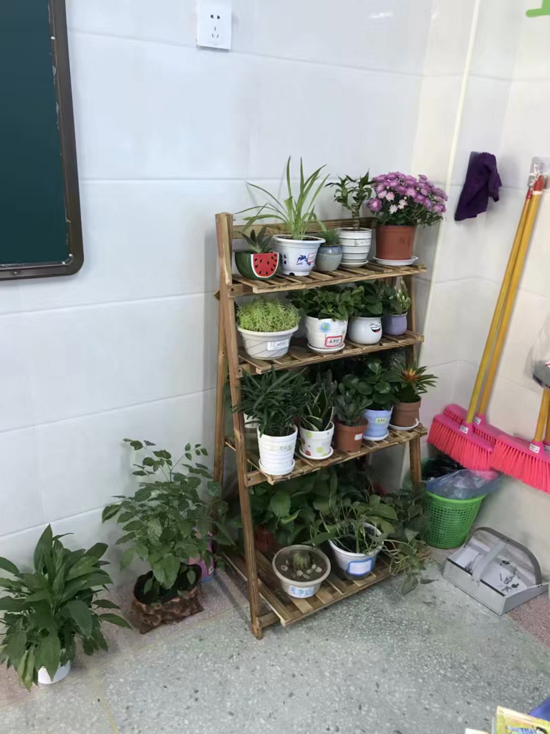 402cc永利官网