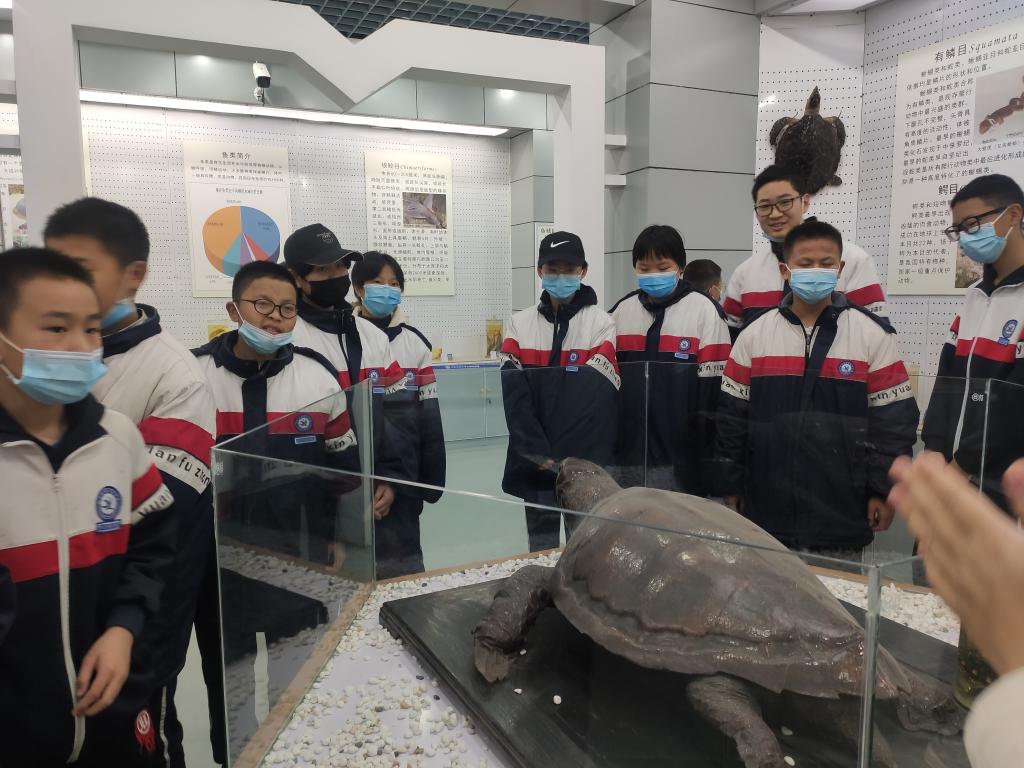 402cc永利官网