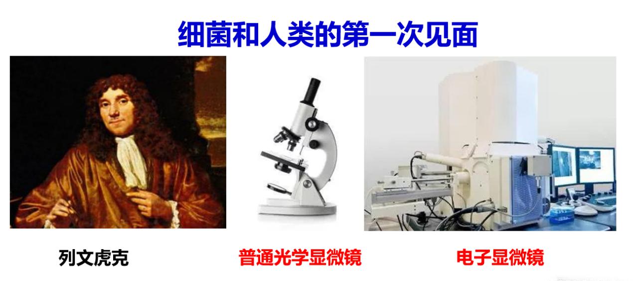 402cc永利官网