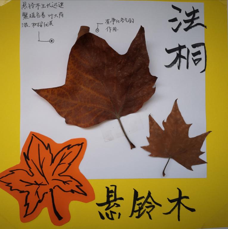 402cc永利官网