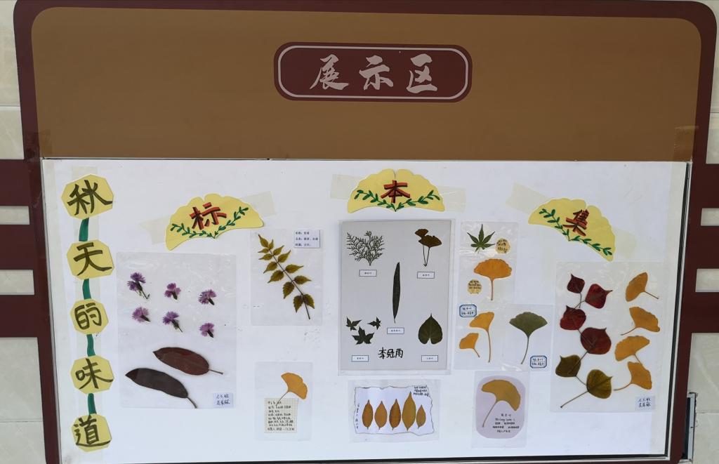 402cc永利官网