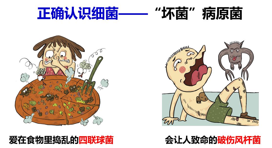 402cc永利官网