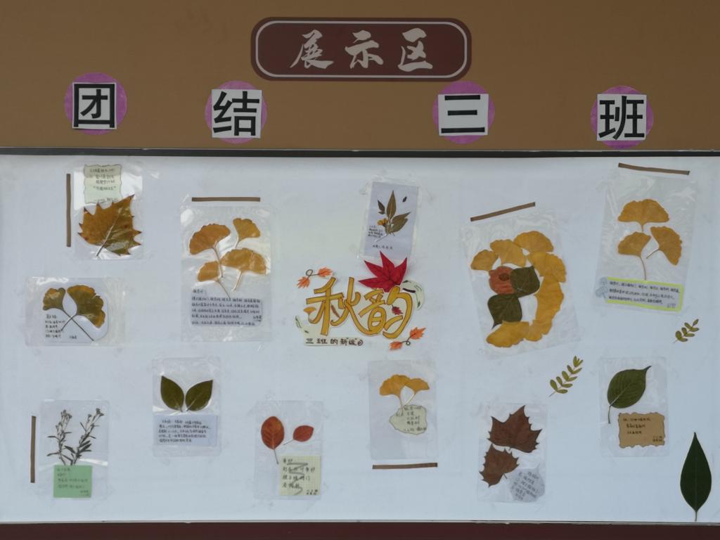 402cc永利官网