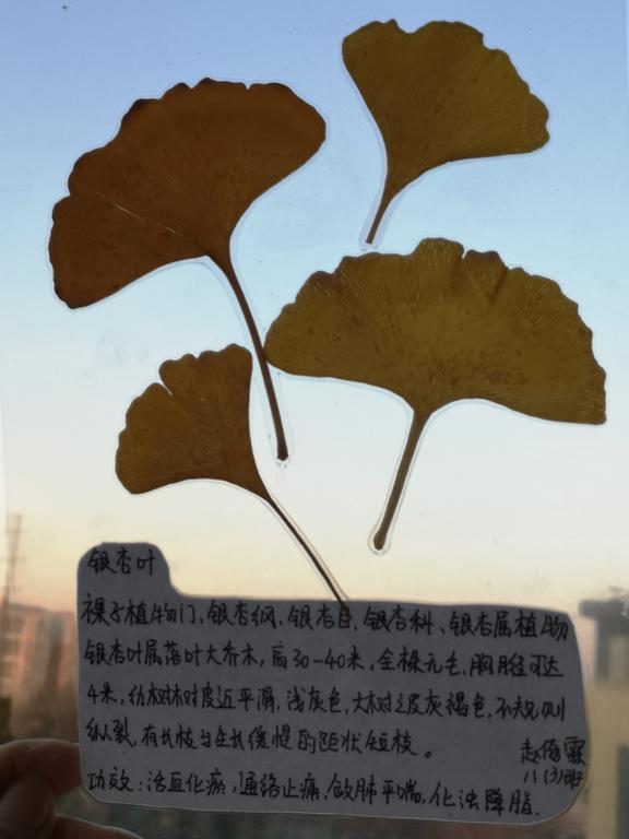 402cc永利官网