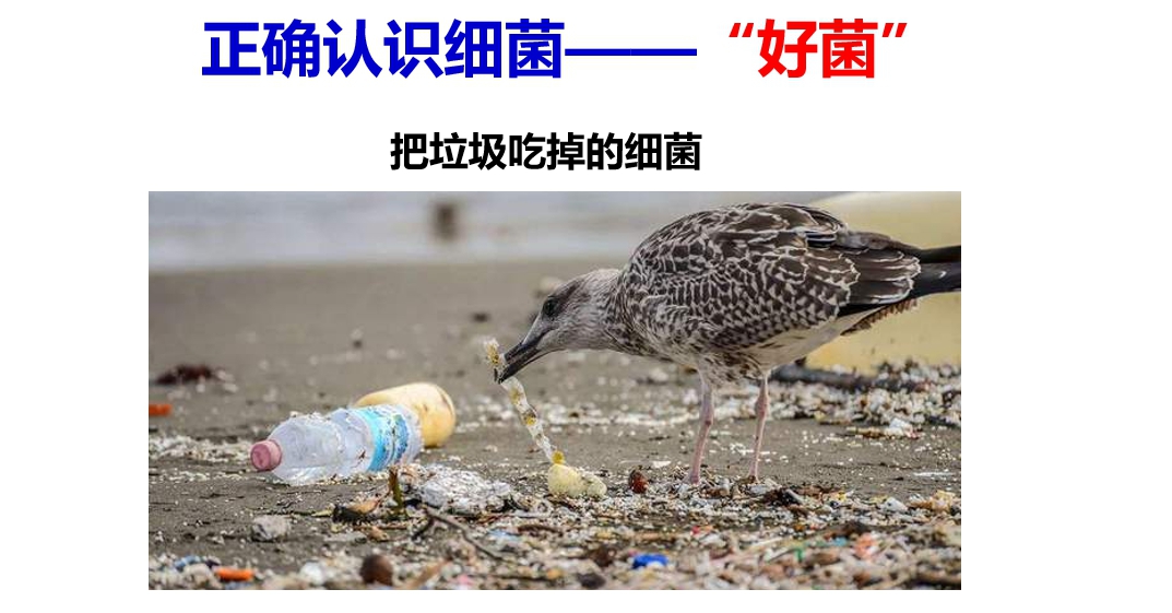 402cc永利官网