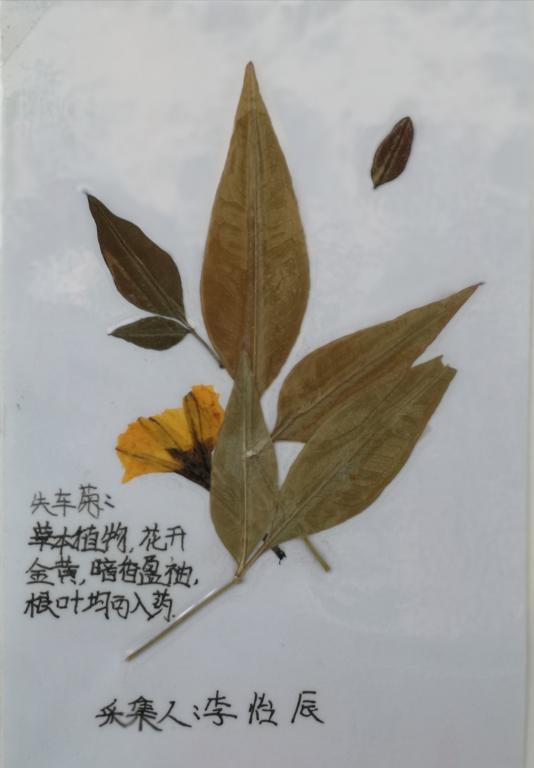 402cc永利官网