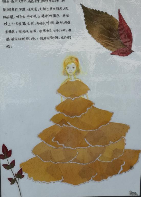 402cc永利官网