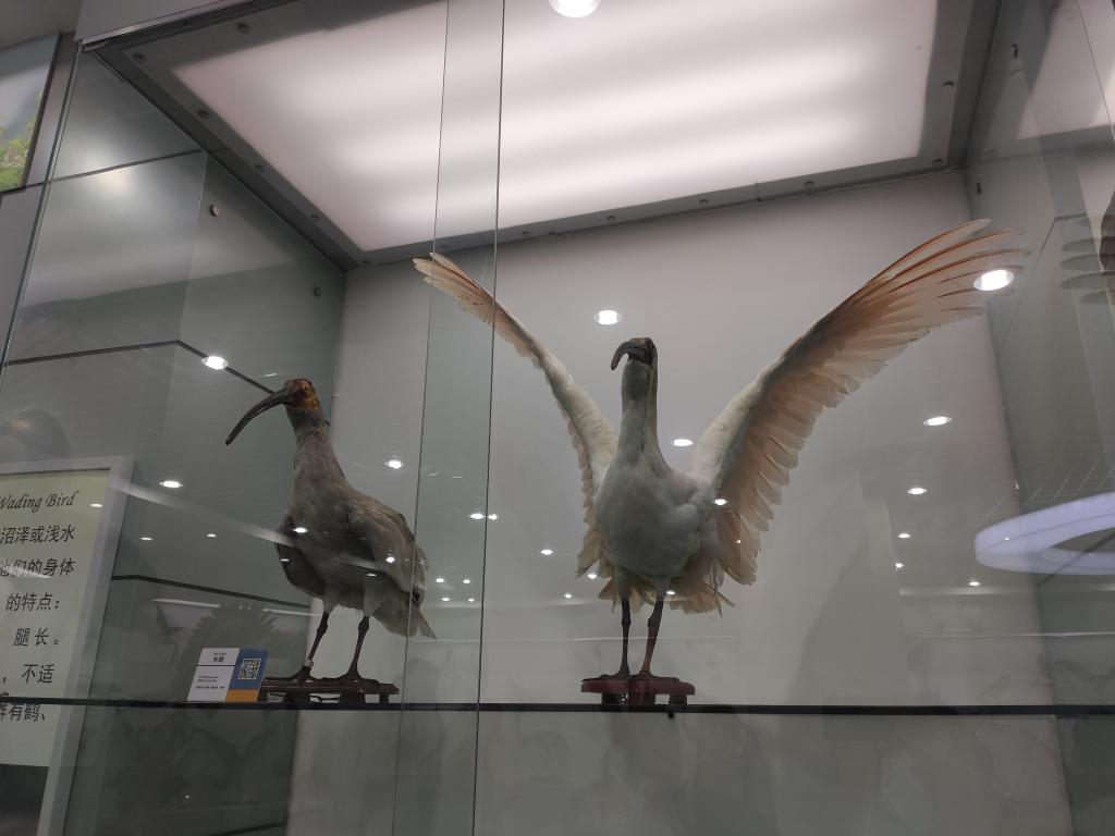 402cc永利官网