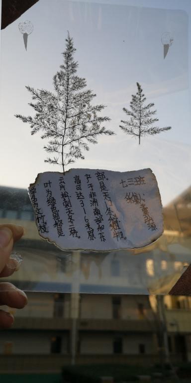 402cc永利官网