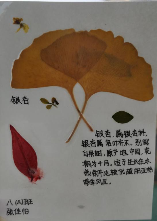 402cc永利官网