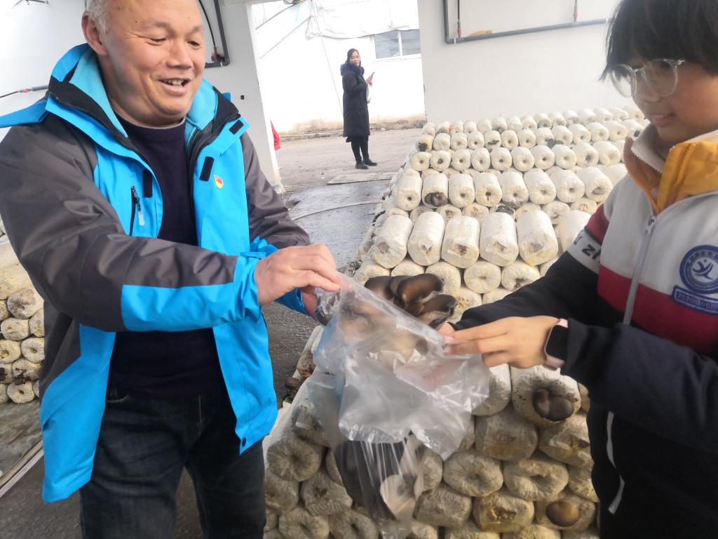 402cc永利官网
