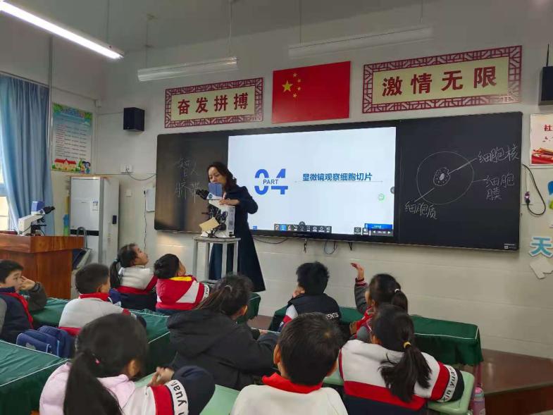 402cc永利官网